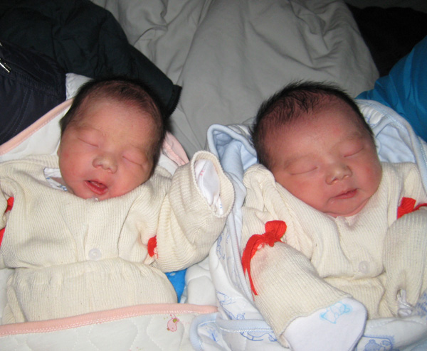 我的双胞胎外甥